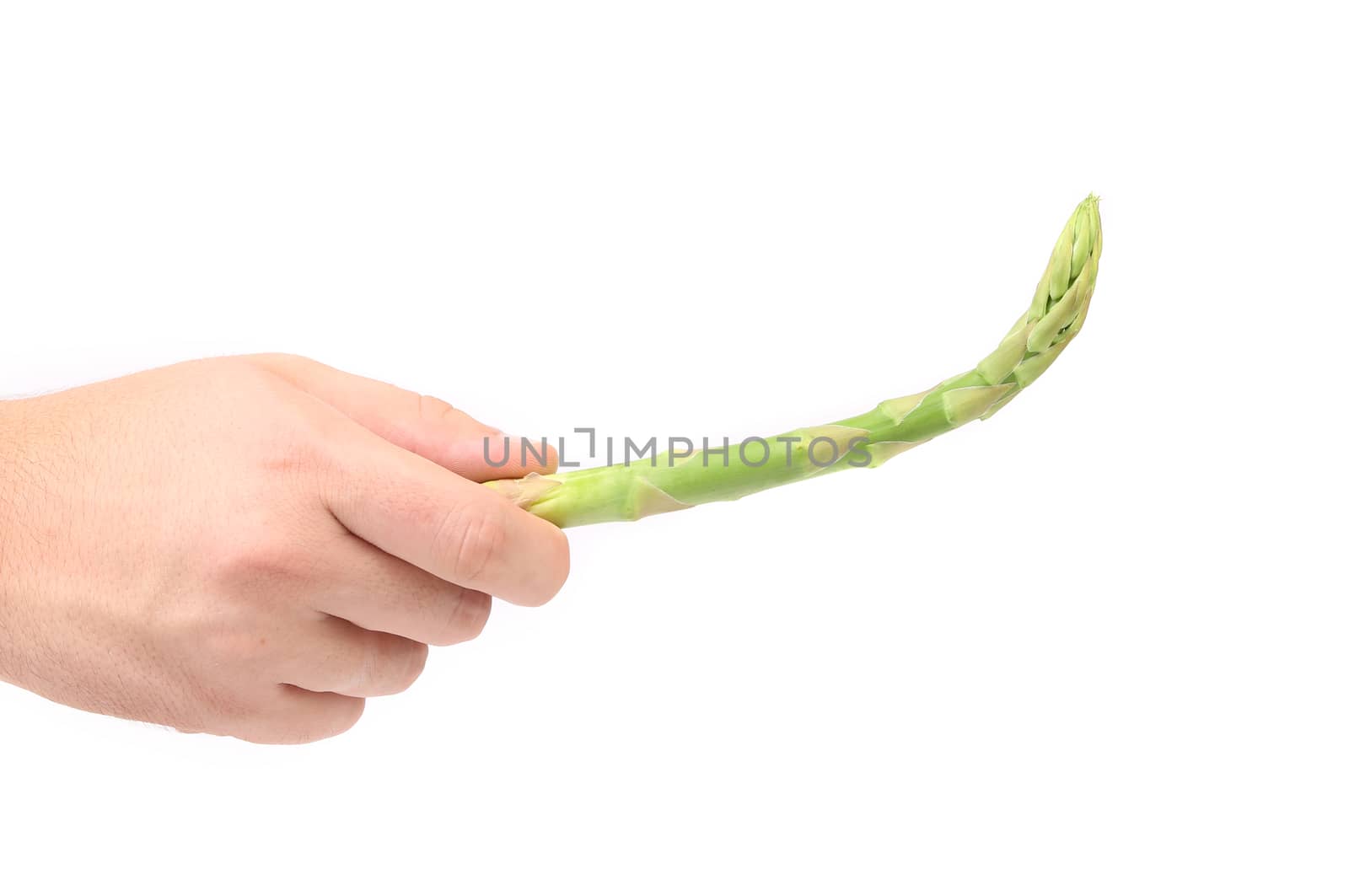 Hand holds fresh green asparagus.