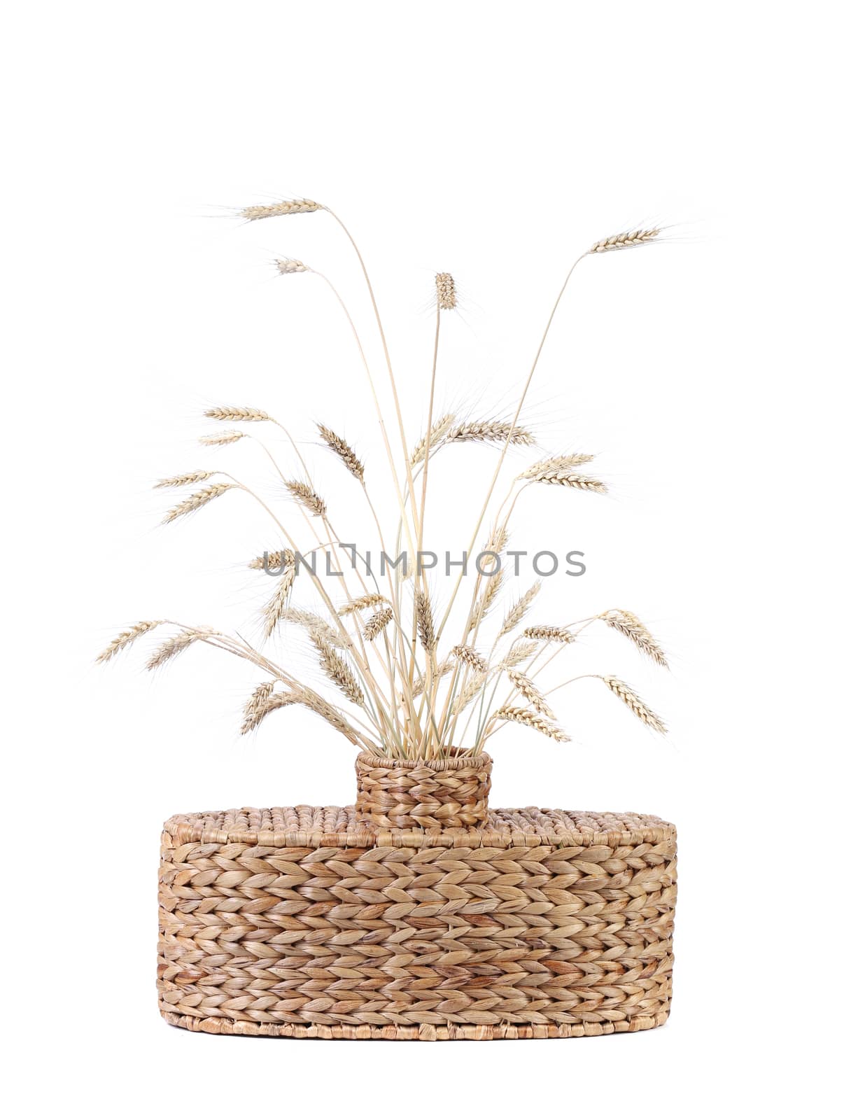 Wicker vase with wheat ears. Isolated on a white background.