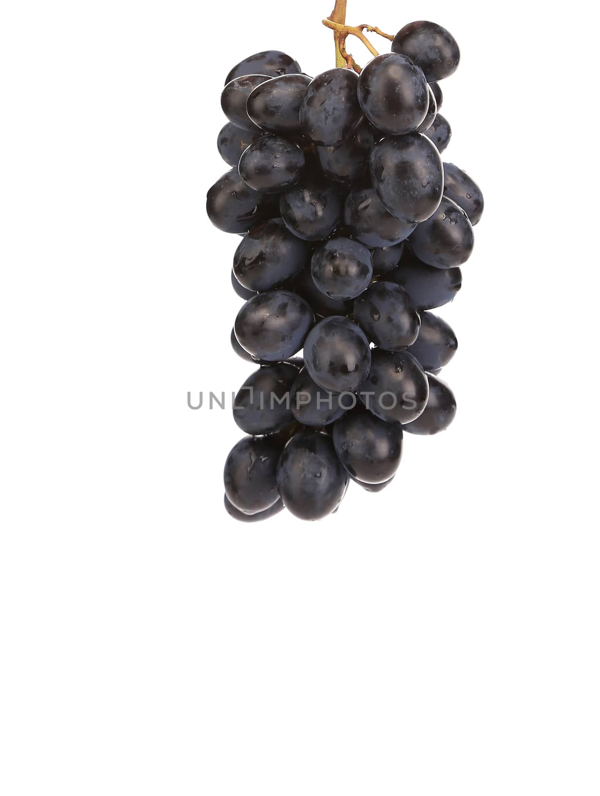 Fresh red grape. Isolated on a white background.