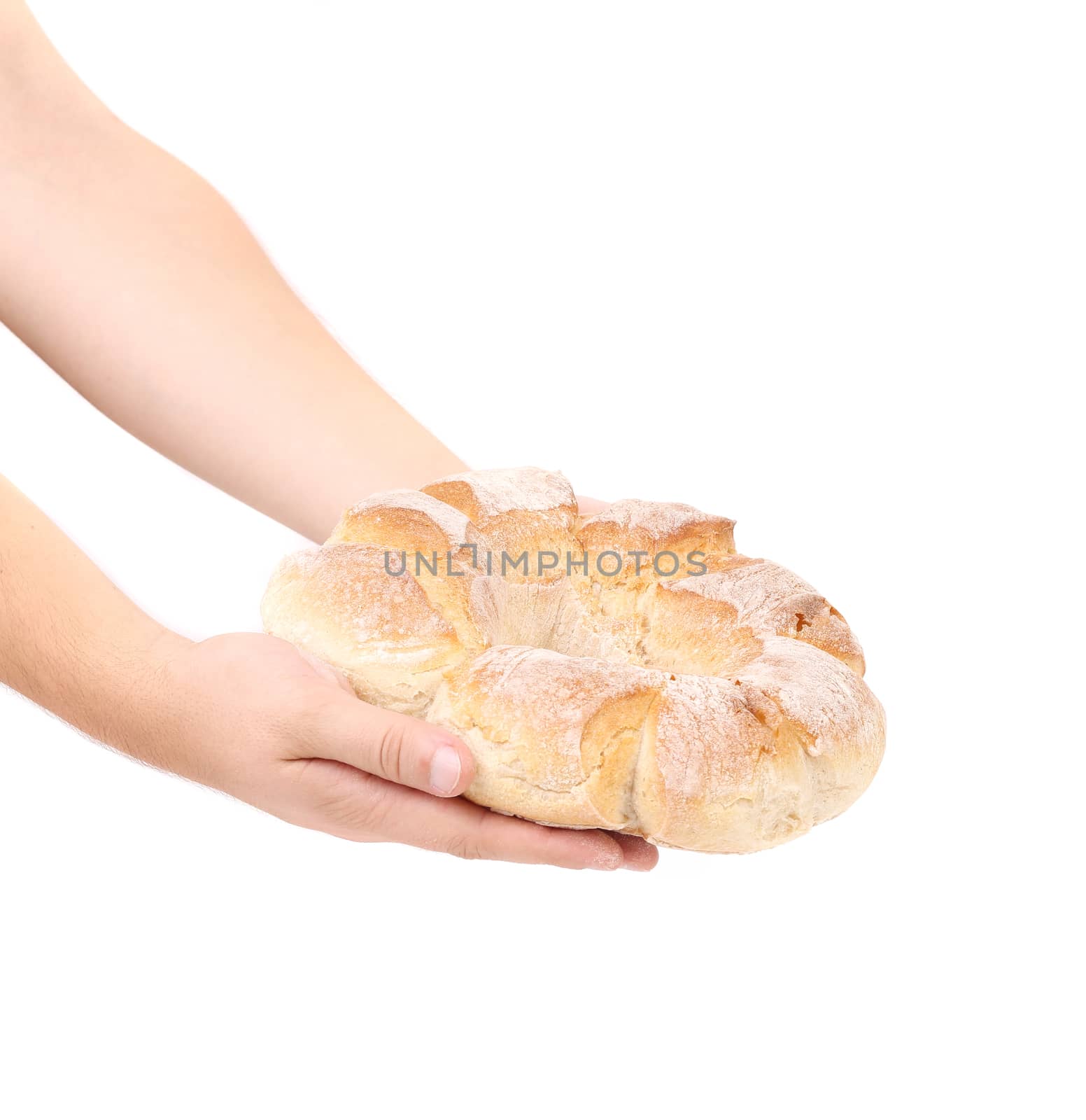Hands holding round bread. Isolated on a white background.