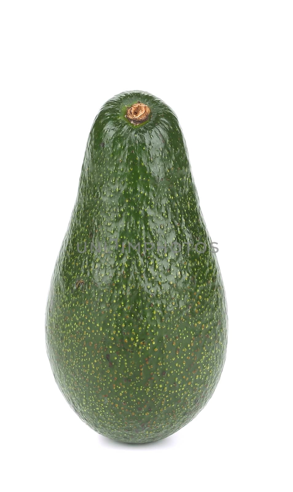 Fresh avocado. by indigolotos