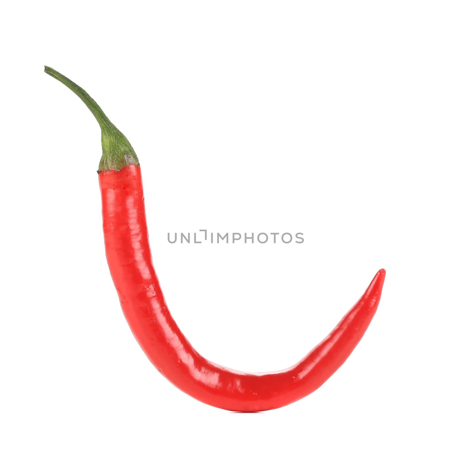 Red chili pepper in hook shape. Isolated on a white background.