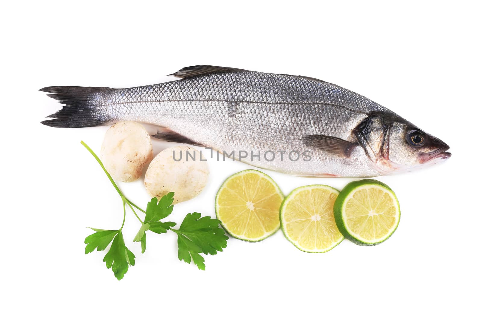 Fresh seabass with lemon and mushrooms. Isolated on a white background.