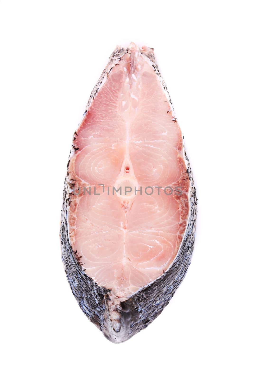 Fresh carp steak. Isolated on a white background.