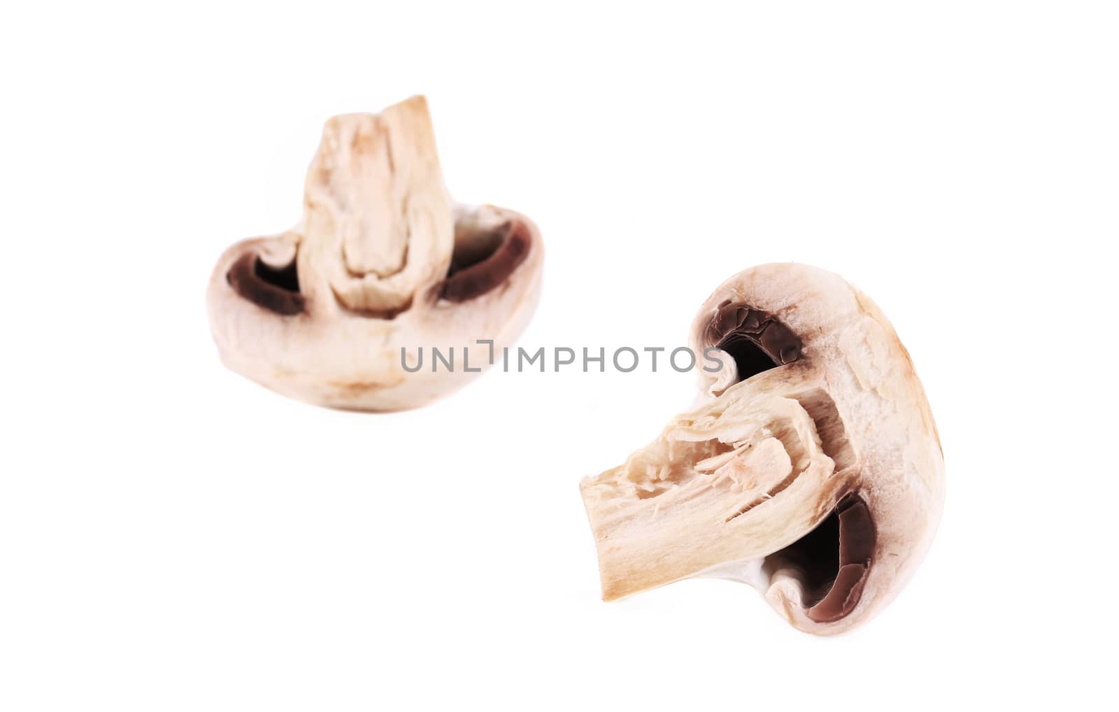 White mushrooms close up. Isolated on a white background.