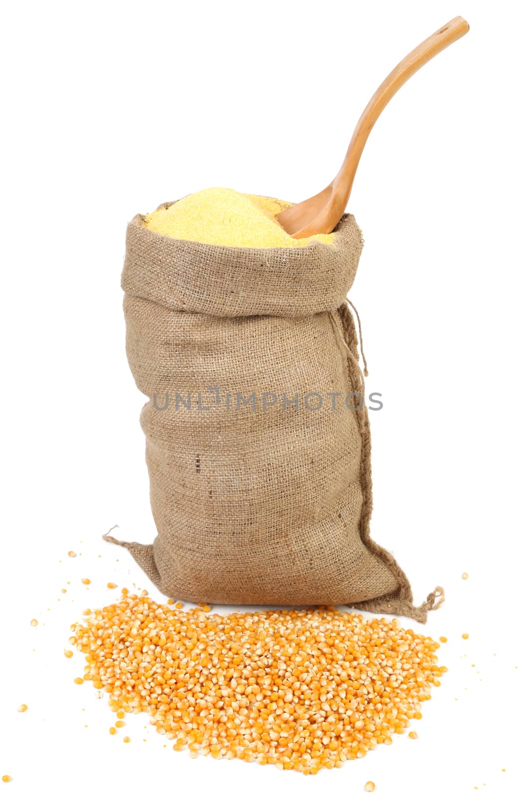 Sack with corn grains and flour. by indigolotos