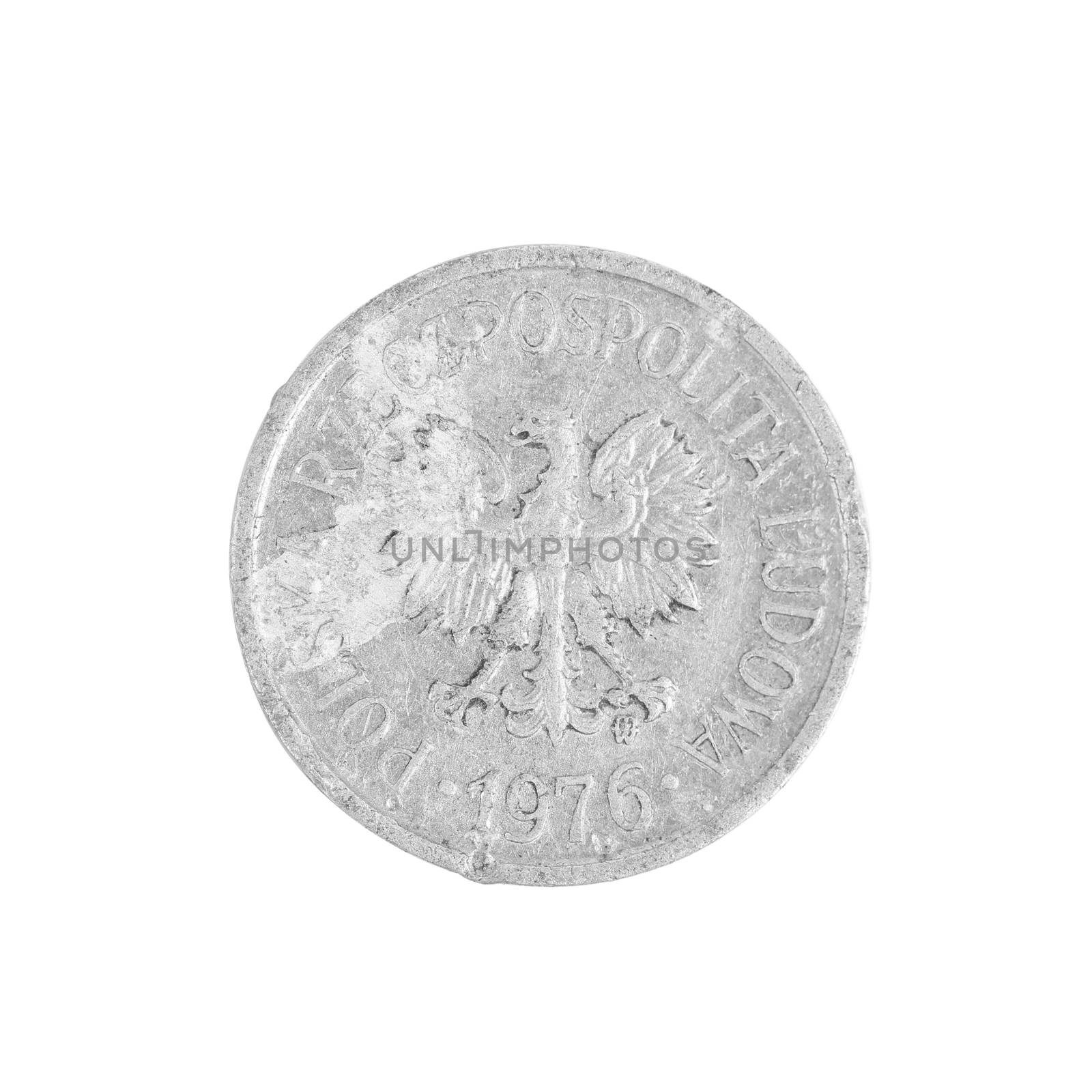 Polish coin close up. Isolated on a white background.
