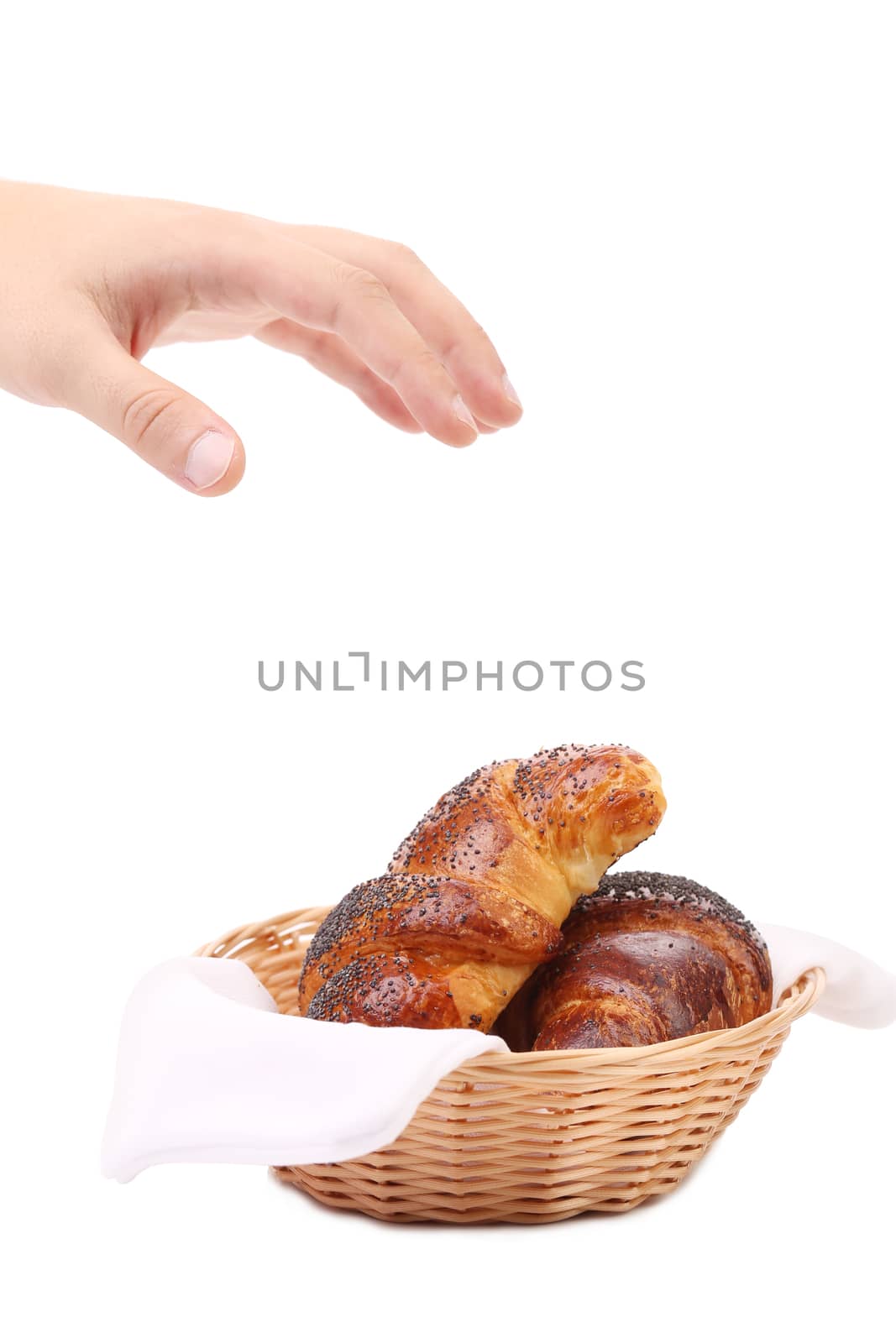 Hand above croissants in basket. Isolated on a white background.