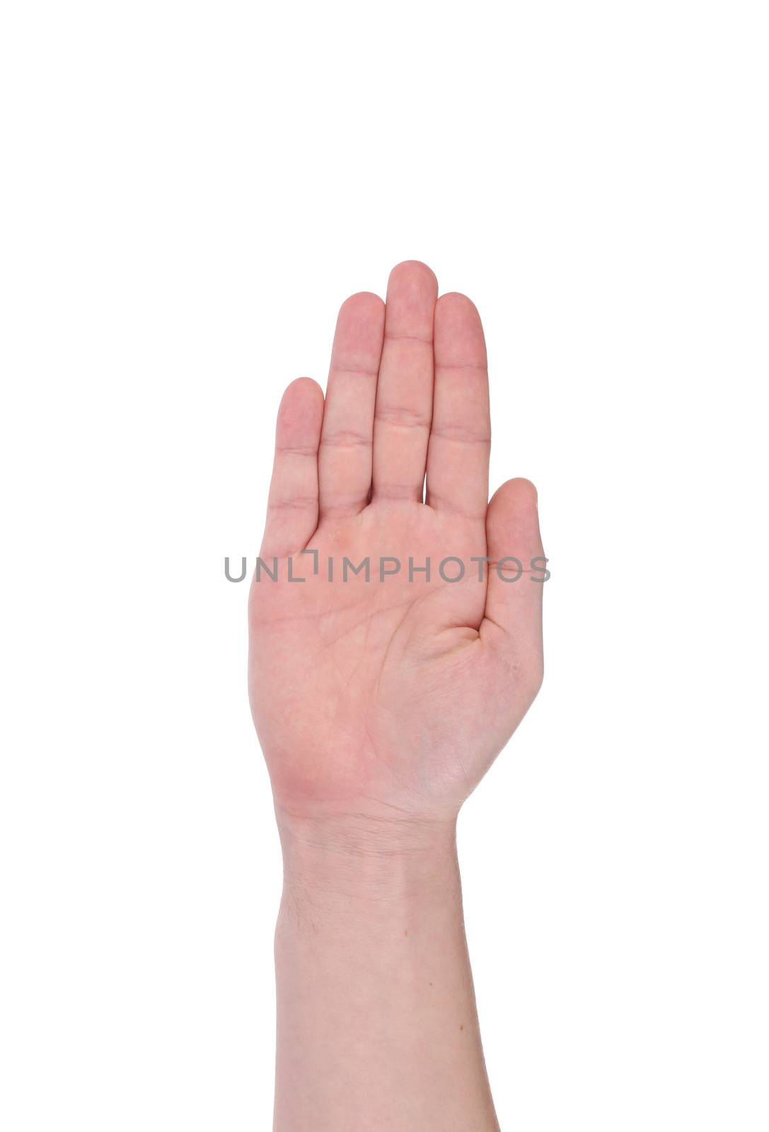 Man's hand. Isolated on a white background.
