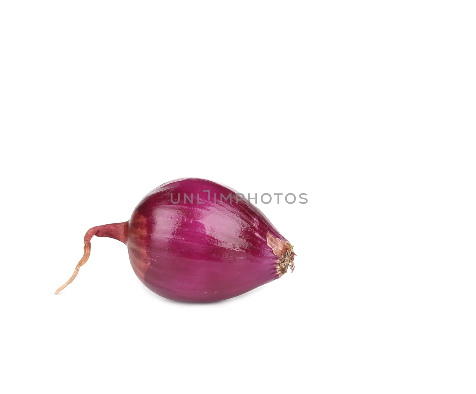 One red onion. Isolated on a white background.