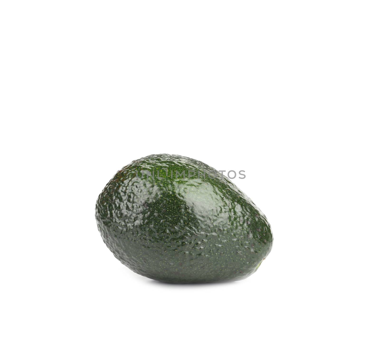 One avocado. Isolated on a white background.
