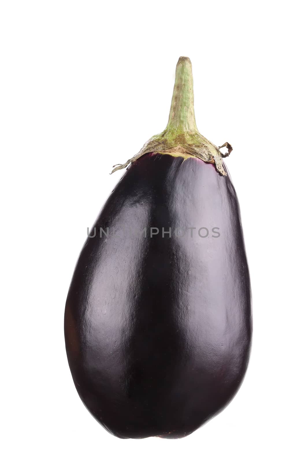 Black eggplant. Isolated on a white background.