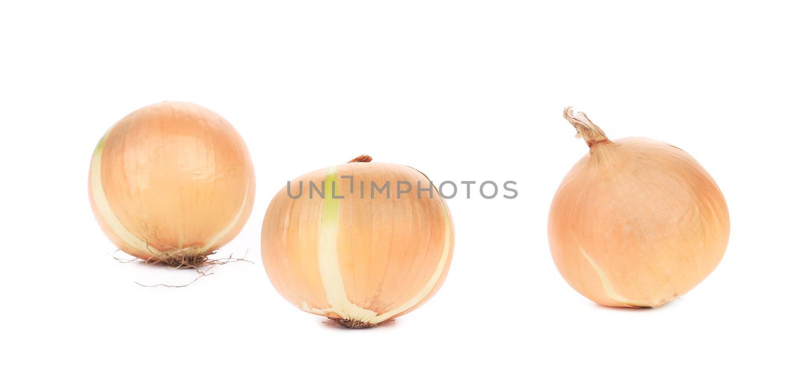 Three ripe onions. Isolated on a white background.