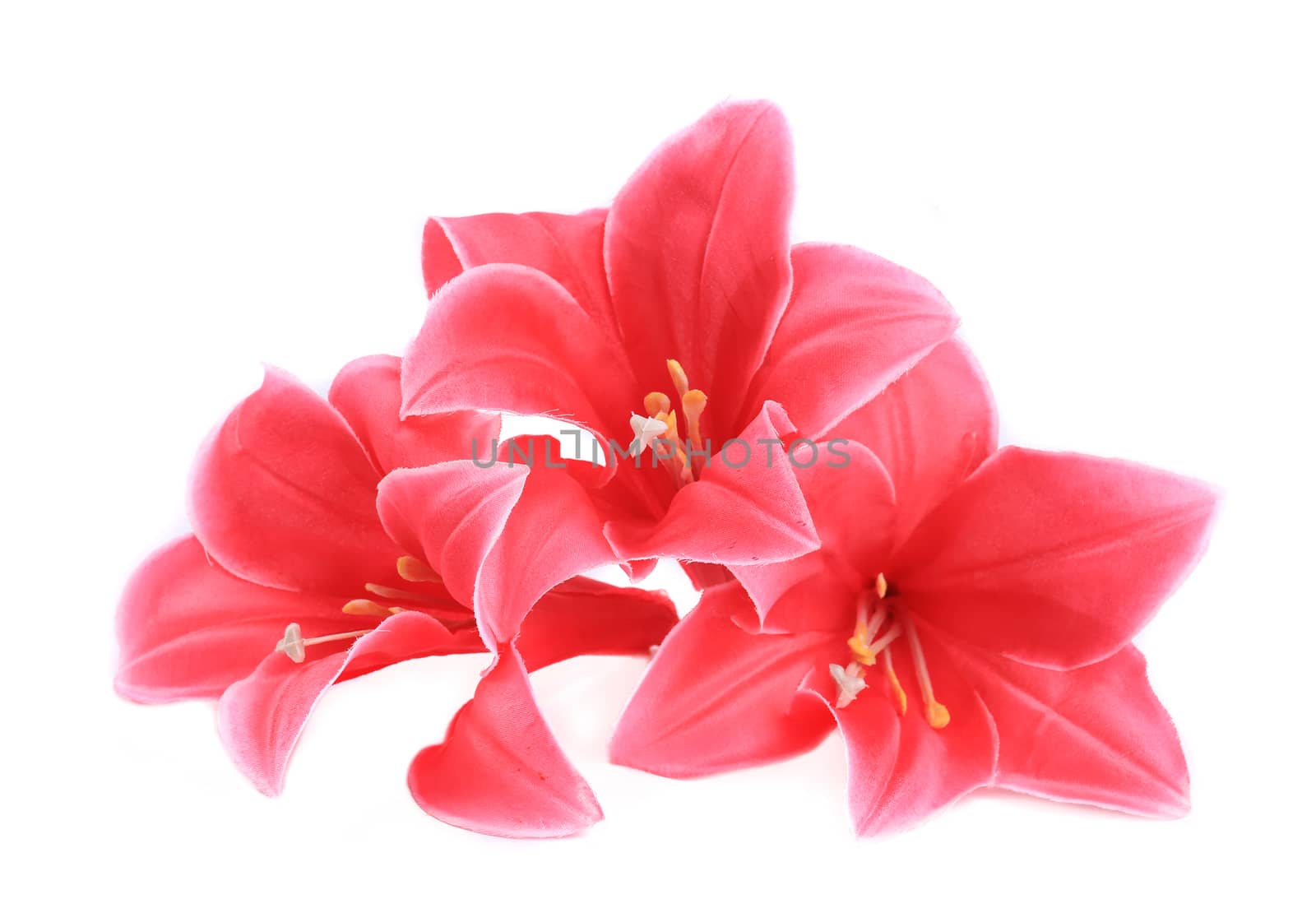 Artificial flower. Isolated on a white background.