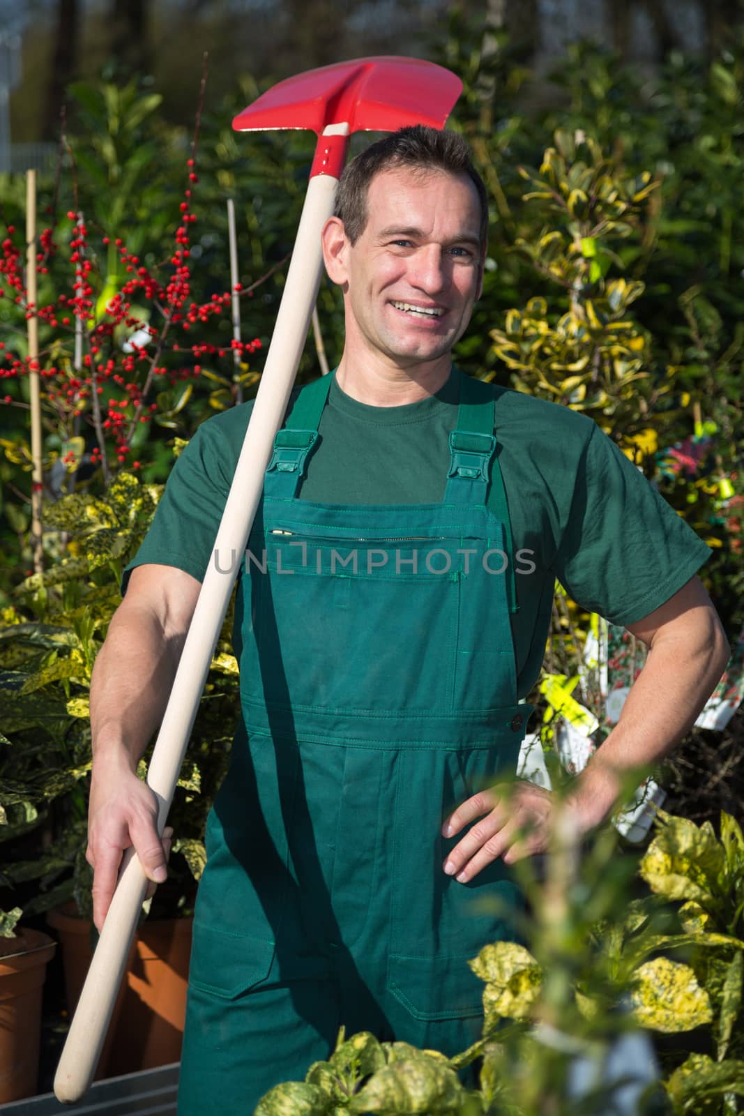 Farmer or gardener posing with shovel in garden nursery 