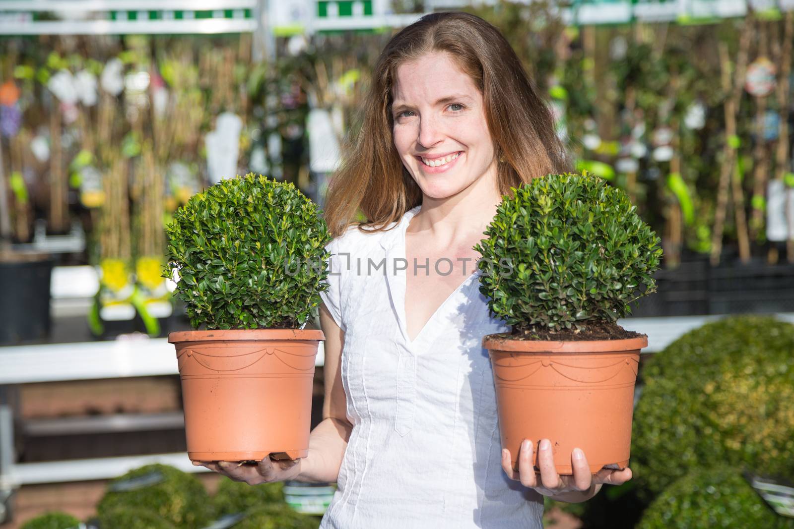 Customer in garden center posing with two boxtrees by ikonoklast_fotografie