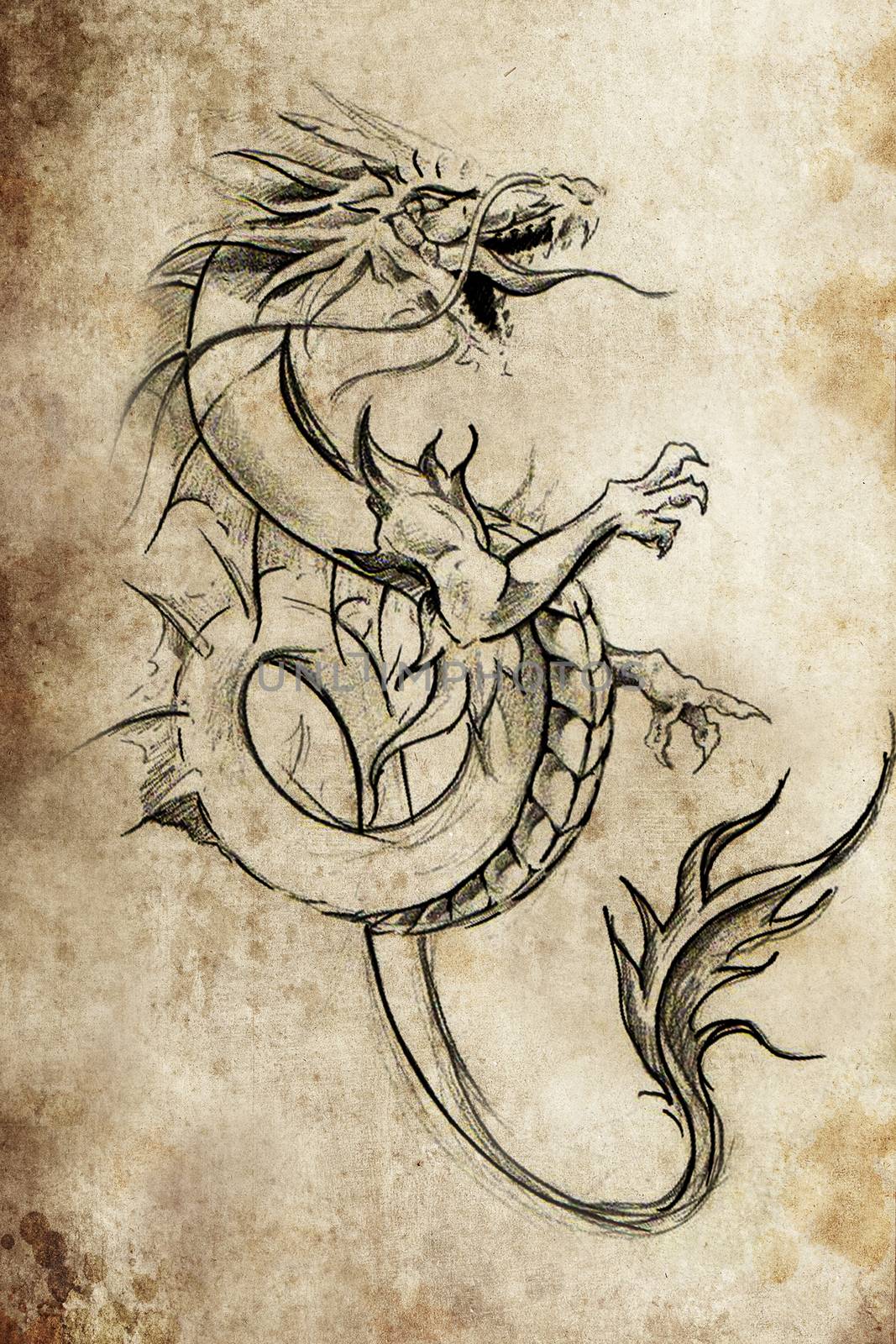 Dragon lizzard, Tattoo sketch, handmade design over vintage pape by FernandoCortes