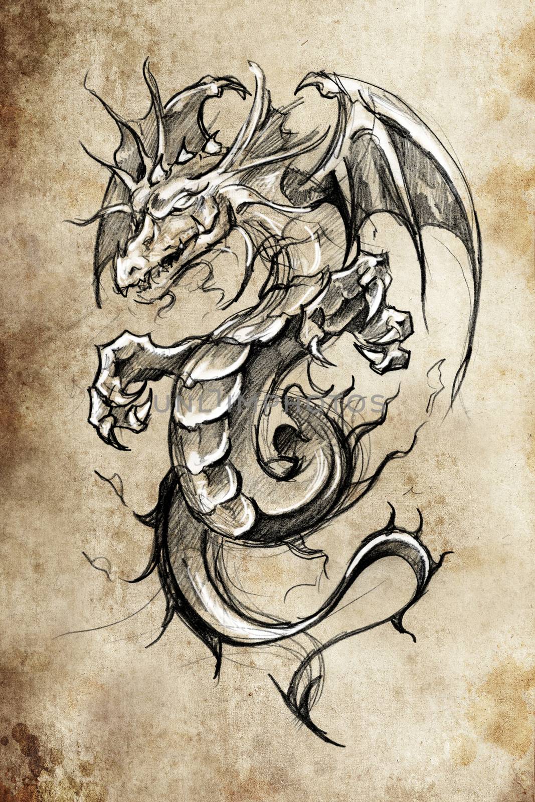 Dragon lizzard, Tattoo sketch, handmade design over vintage pape by FernandoCortes