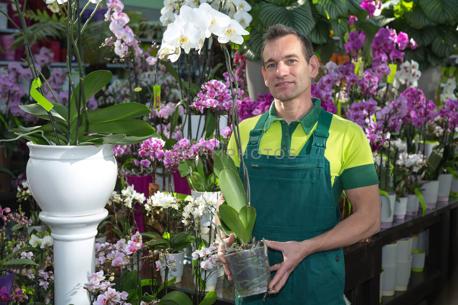 Florist in flower shop posing with an orchid