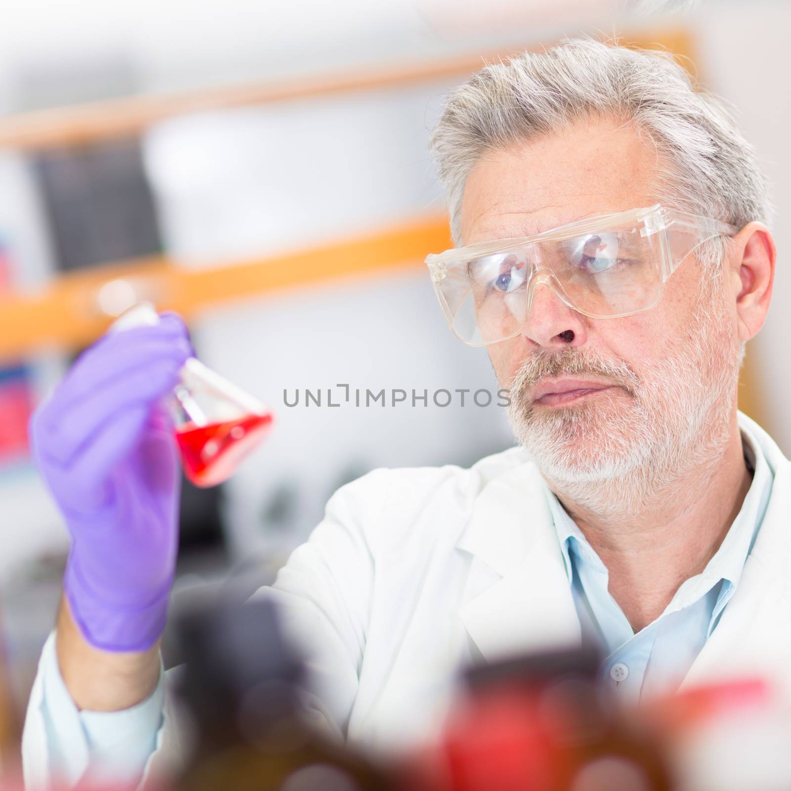 Life scientist researching in laboratory. Life sciences comprise fields of science that involve the scientific study of living organisms: microorganism, plant, animal and human cells, genes, DNA...