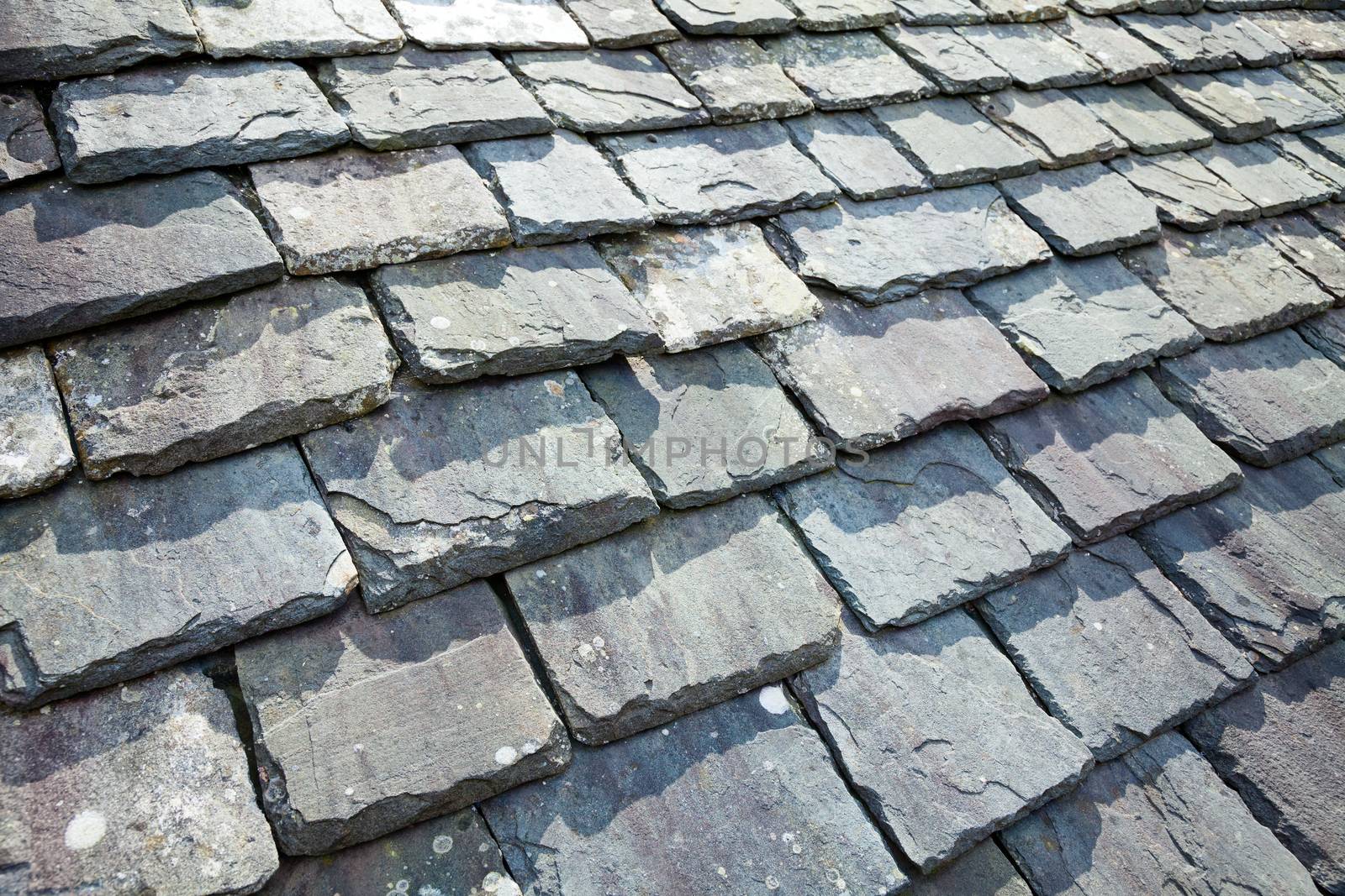 Aged slate roof tiles close-up
