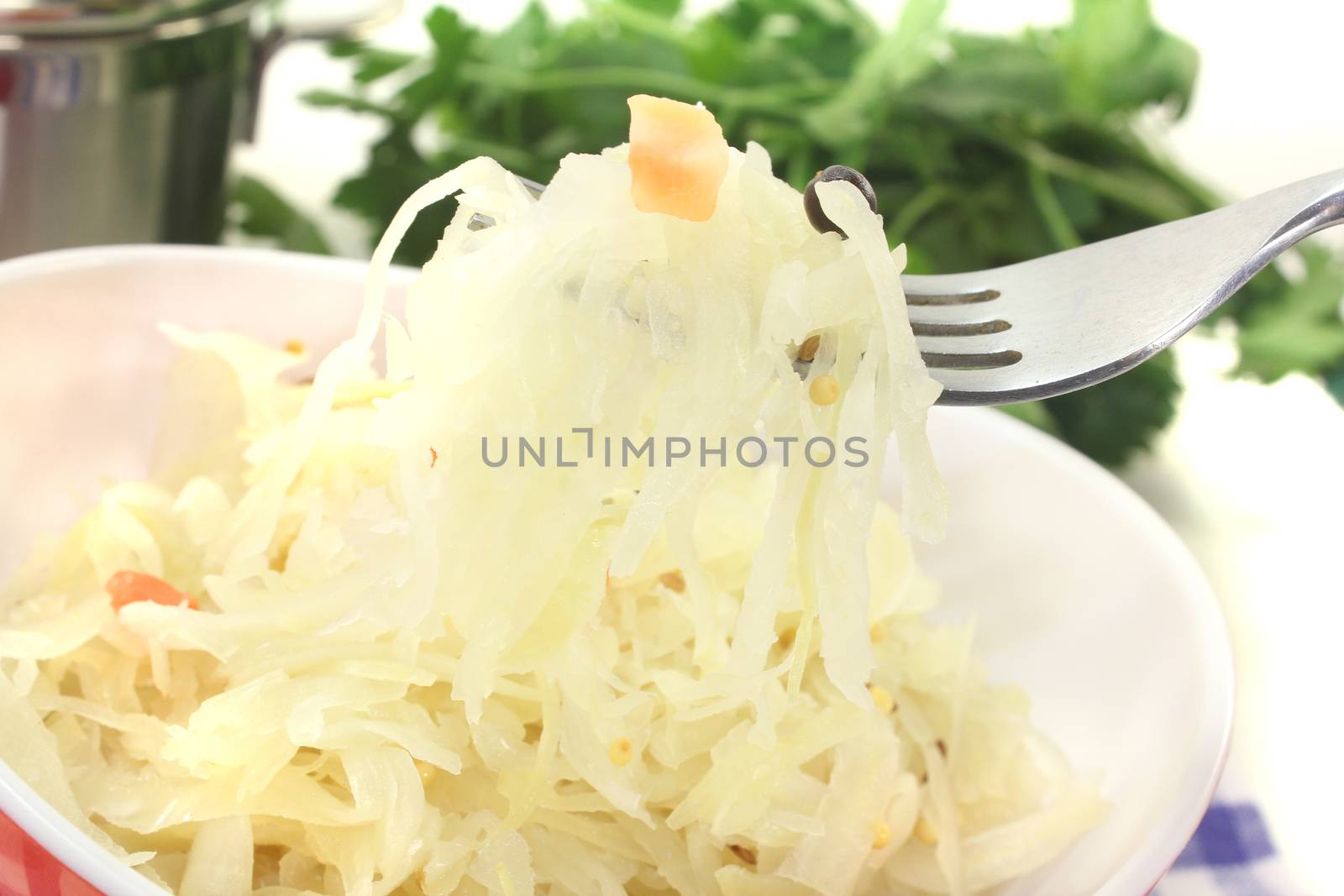 delicious Sauerkraut on a fork by discovery