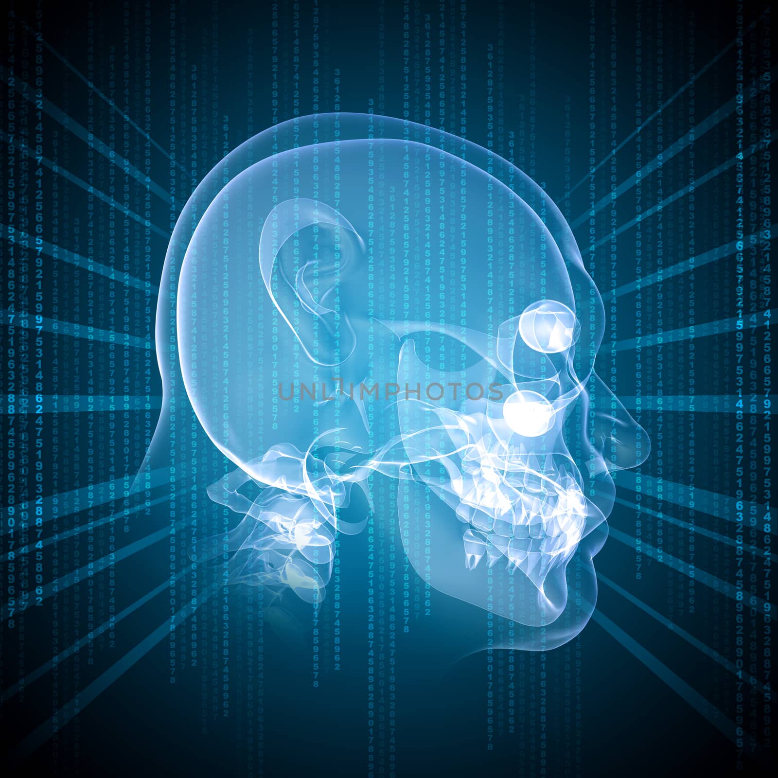 X-ray image of a man's head by cherezoff