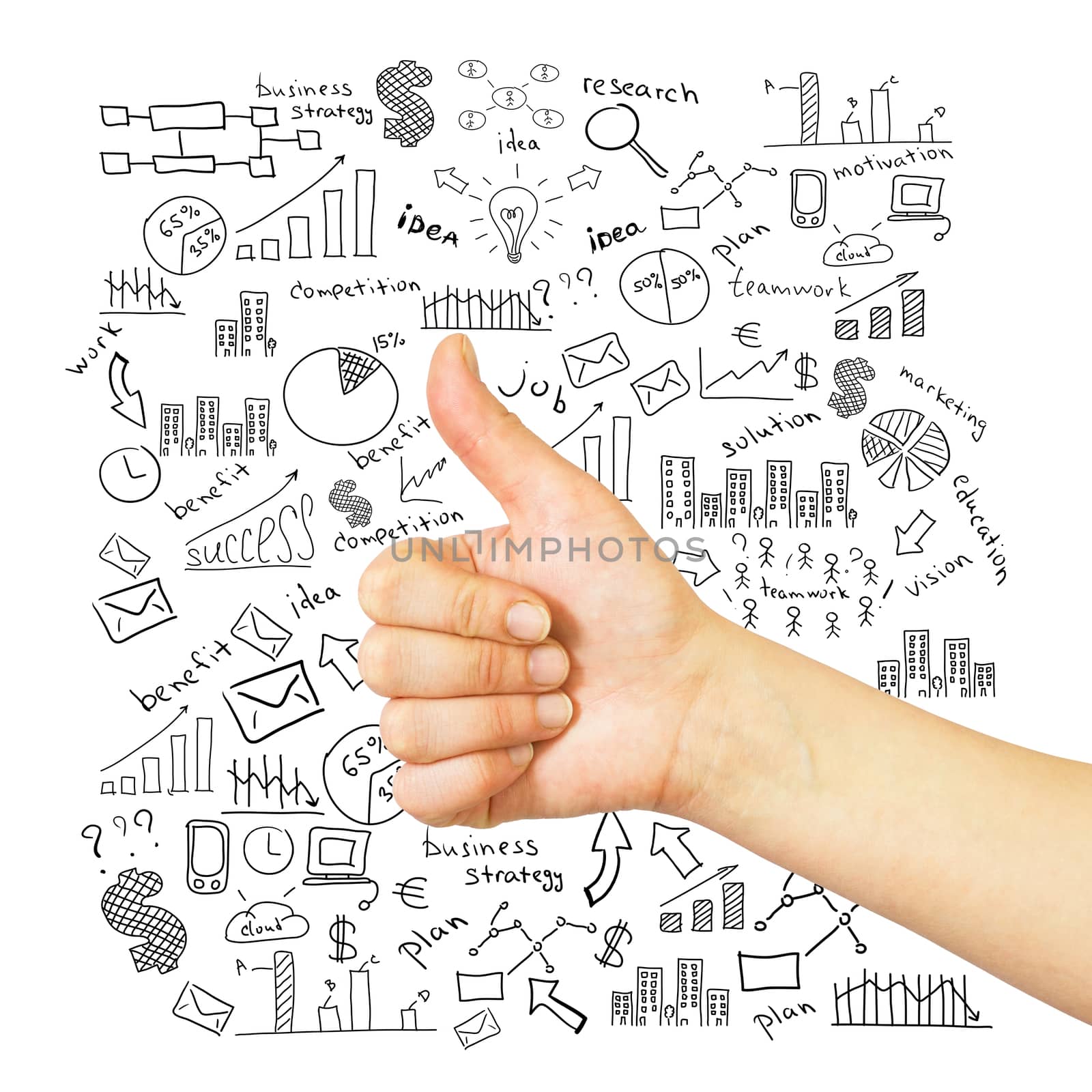 Female hand with raised thumb and business sketches. The business concept