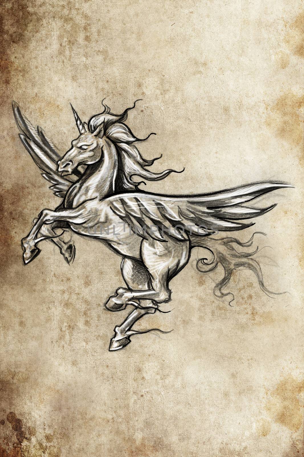 Tattoo unicorn sketch, handmade design over vintage paper by FernandoCortes