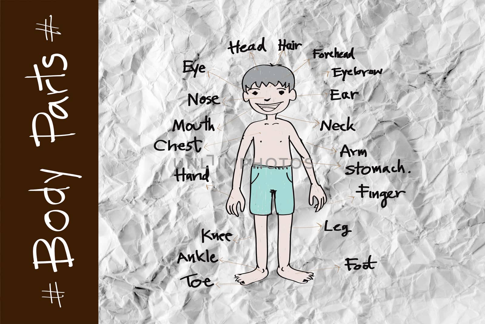 part of body vocabulary in illustration on crumpled paper