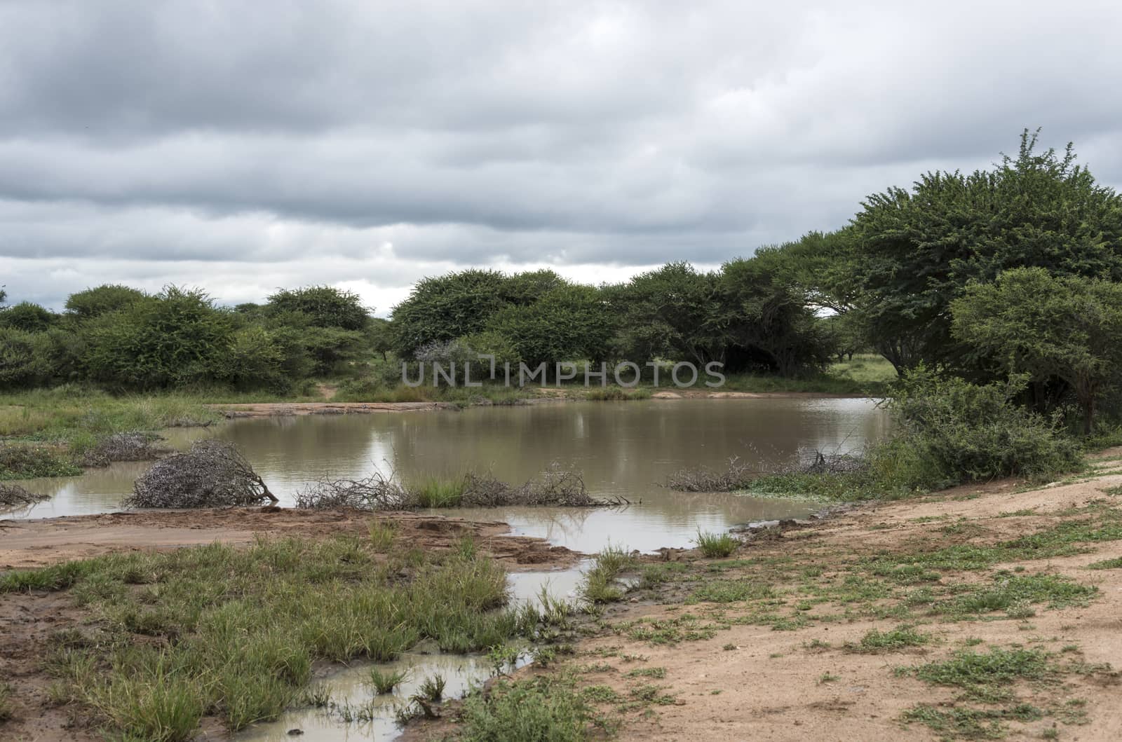 nature area with water in reserve south africa