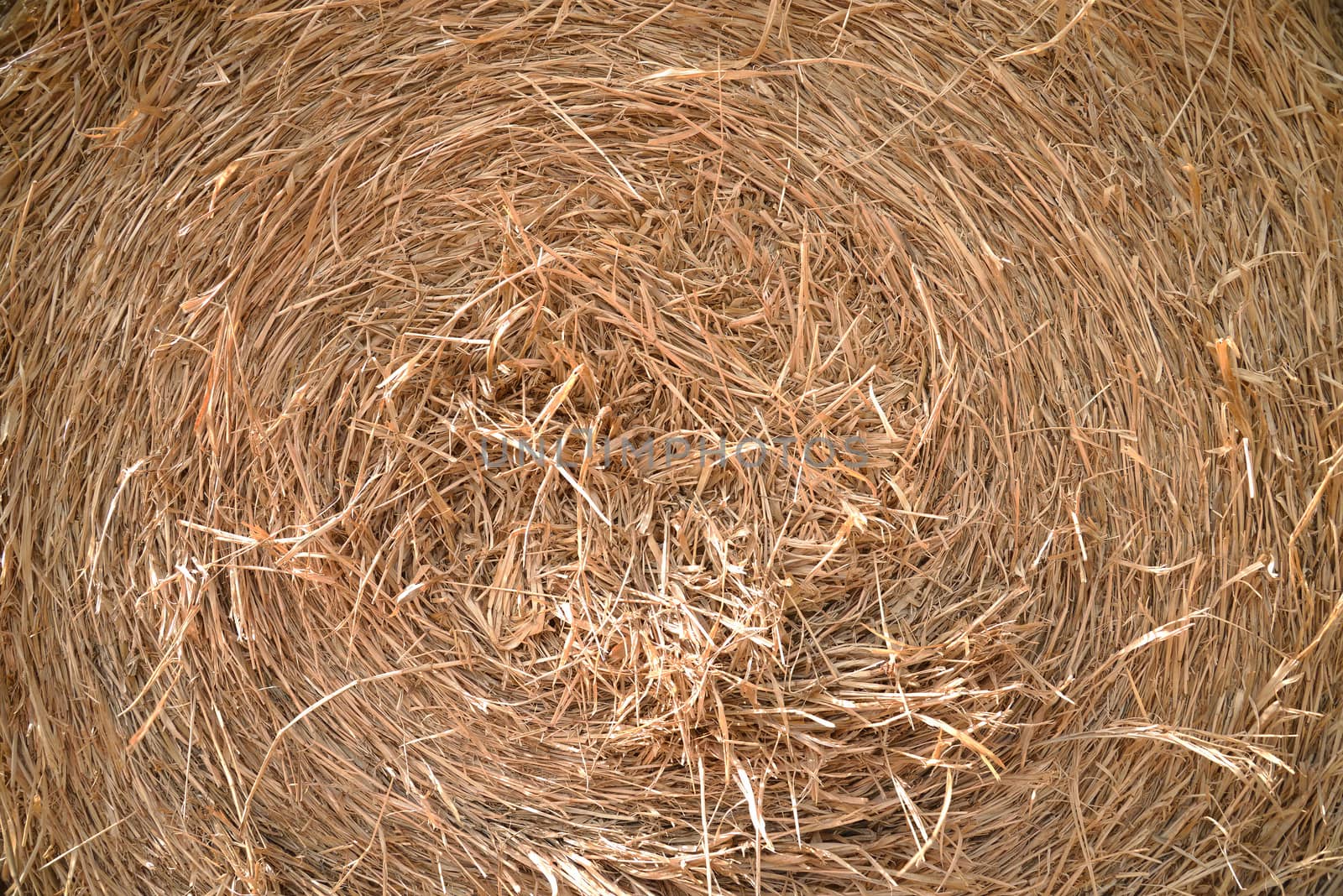 close up detailed view of stack of hay  by jakgree