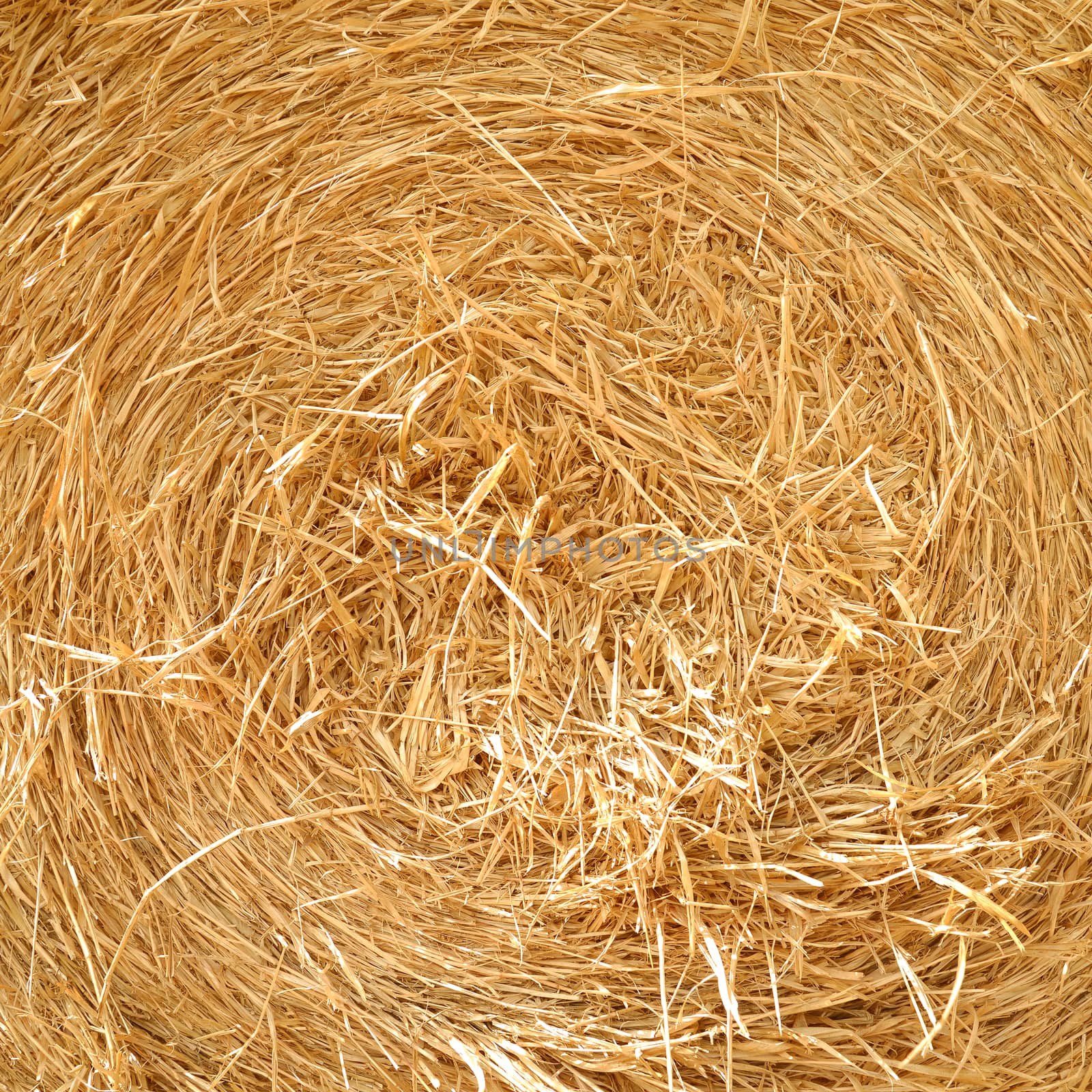 close up detailed view of stack of hay 
