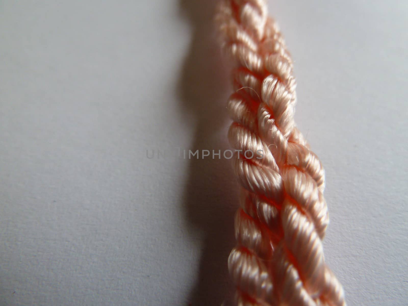 Knotted rope by gazmoi