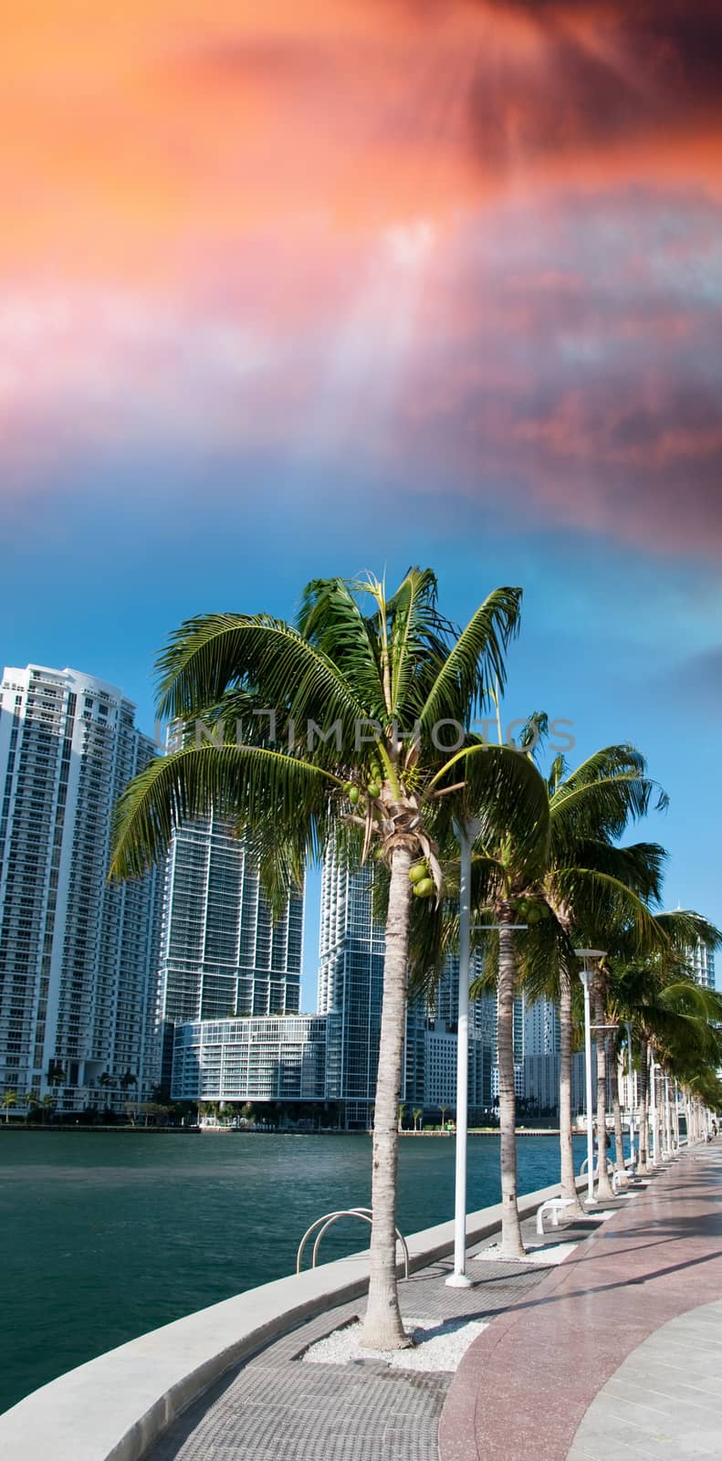 Beautiful cityscape of Miami along the sea.