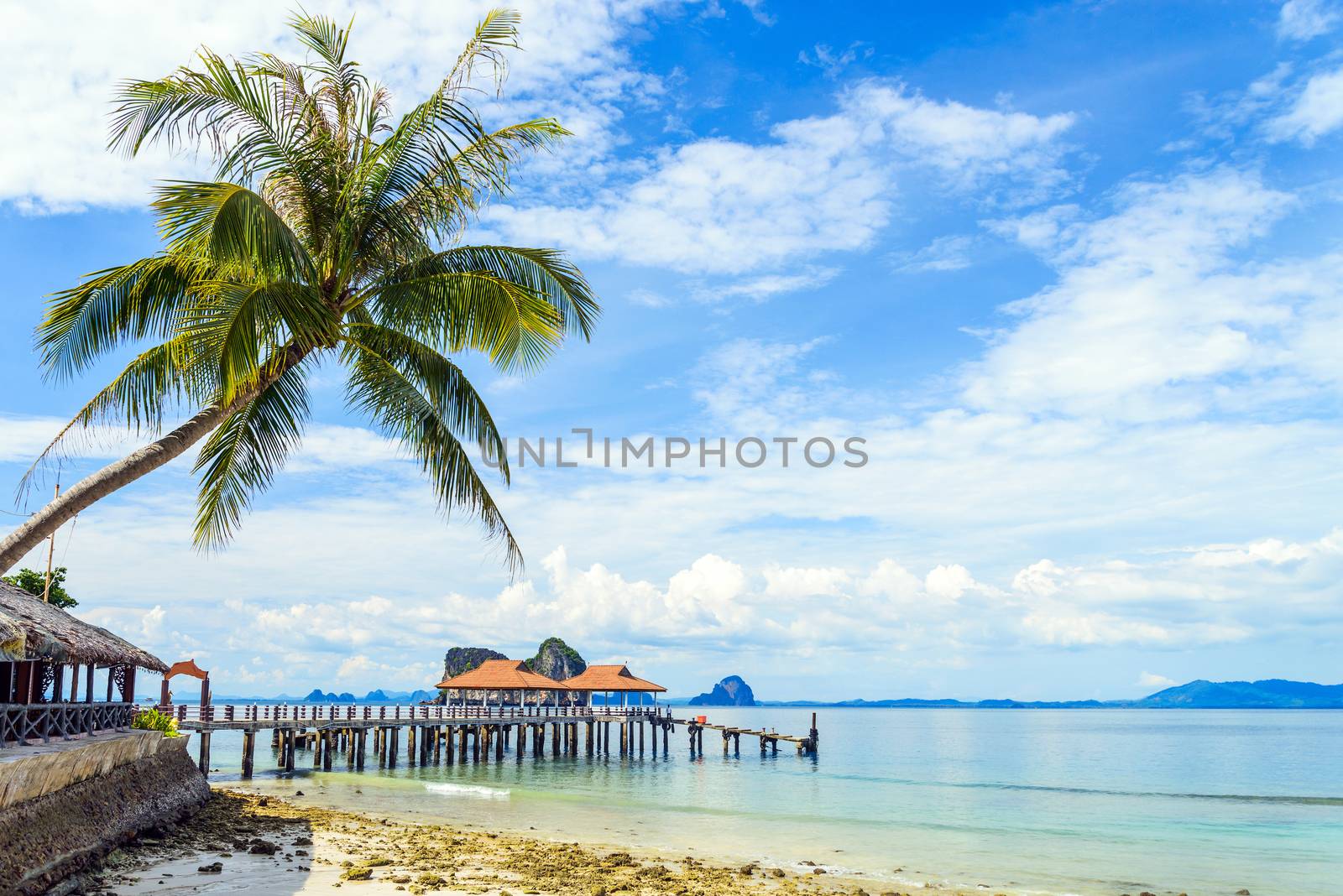 Coconut tree and beach at Ngai Island, an island in the Andaman  by jakgree