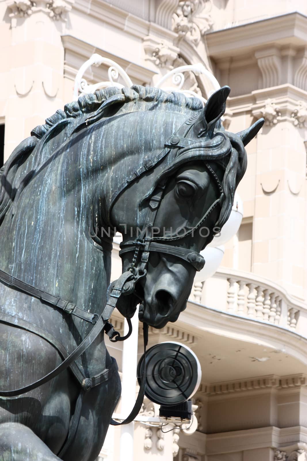 Horse head by Boris15