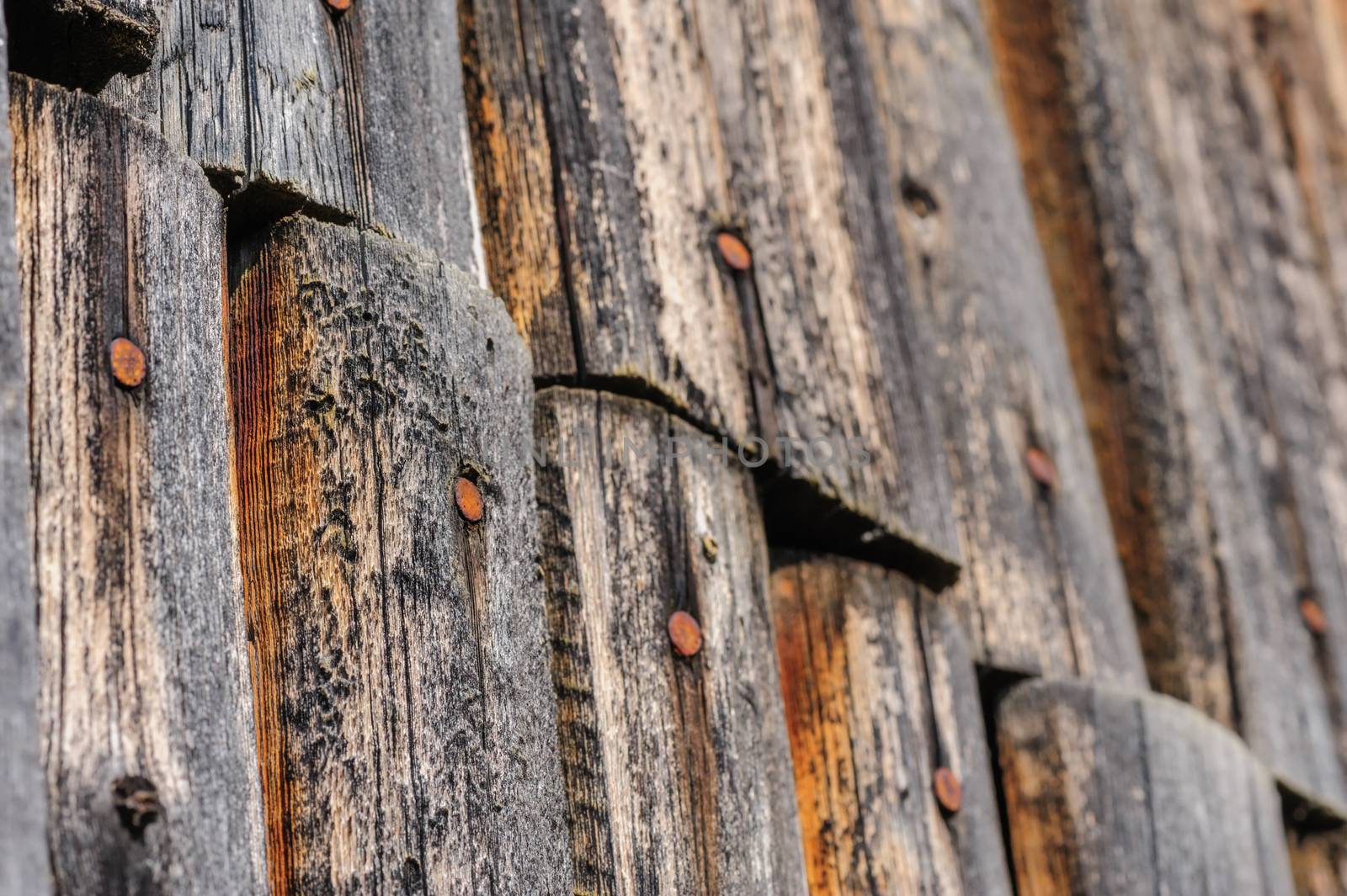 aged weathered wooden or wall or fence with rusty nails, selective focus