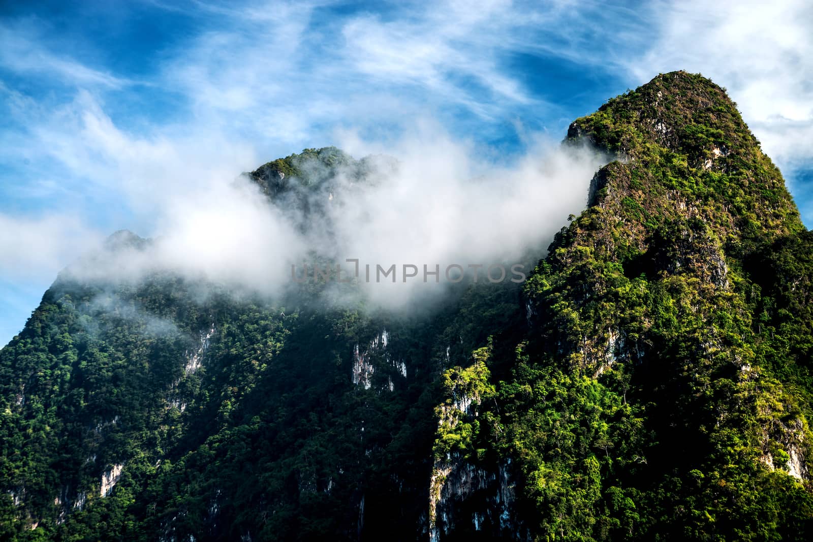 Morning Mist at Tropical Mountain Khao Sok National Park  Thailand