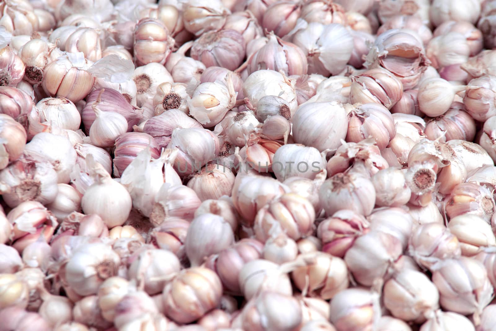 Group of garlic on market stand