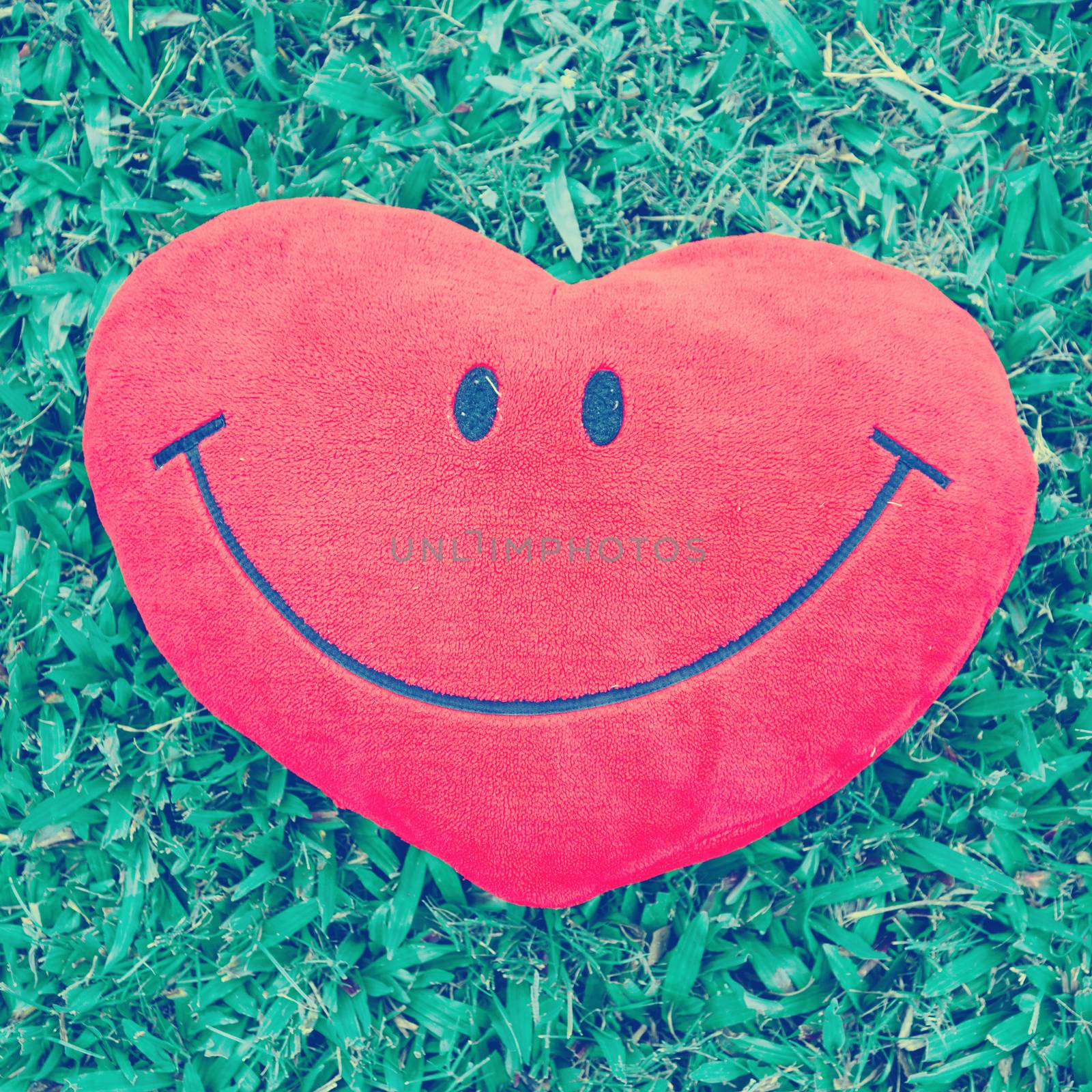 Big love heart shape pillow on green grass