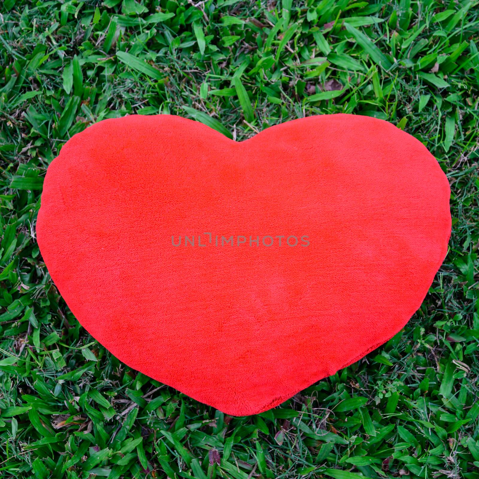 Big love heart shape pillow on green grass by jakgree