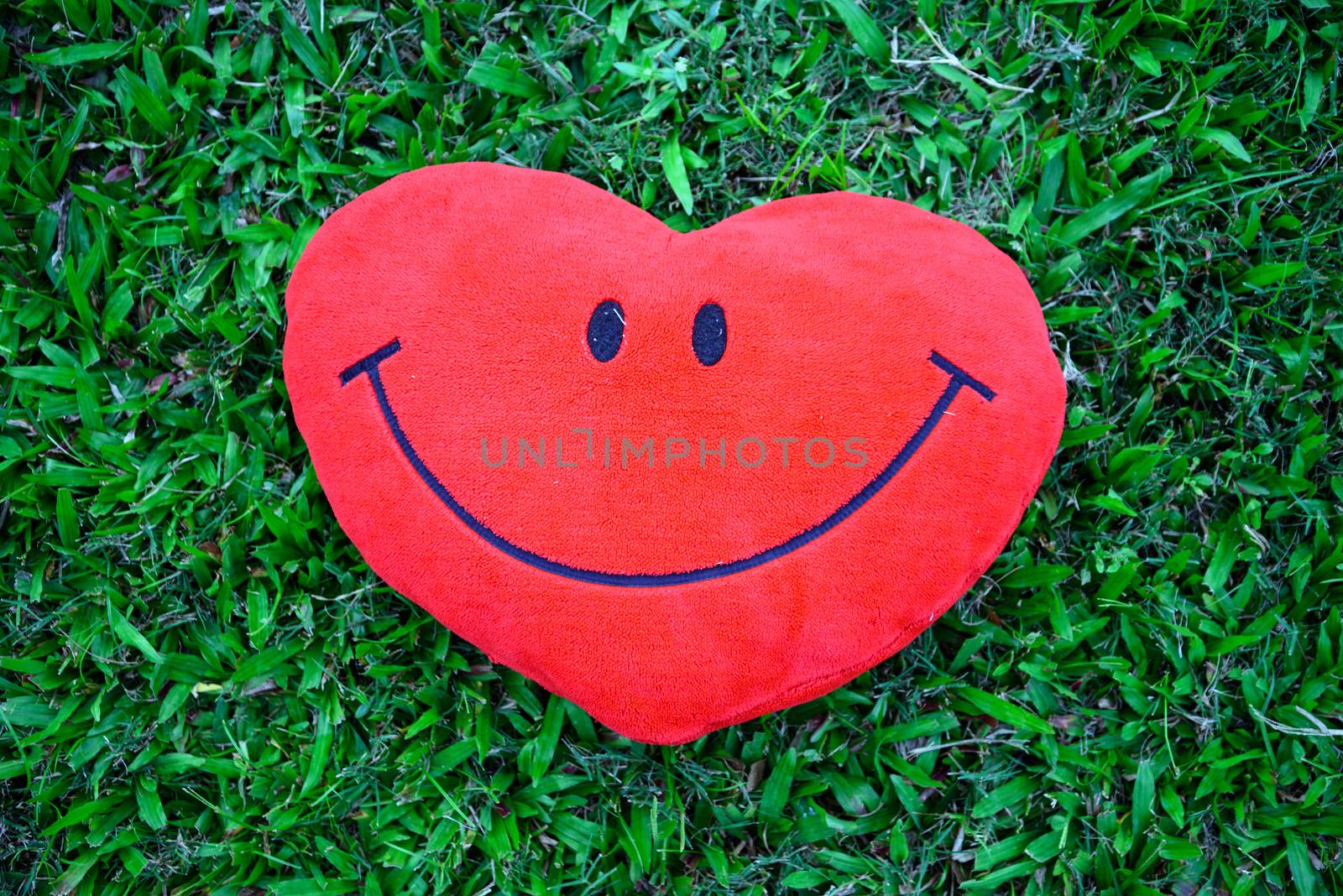 Big love heart shape pillow on green grass by jakgree