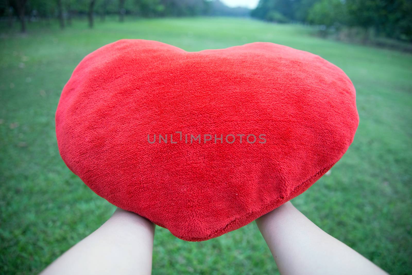 Hand Holding big love heart shape pillow by jakgree