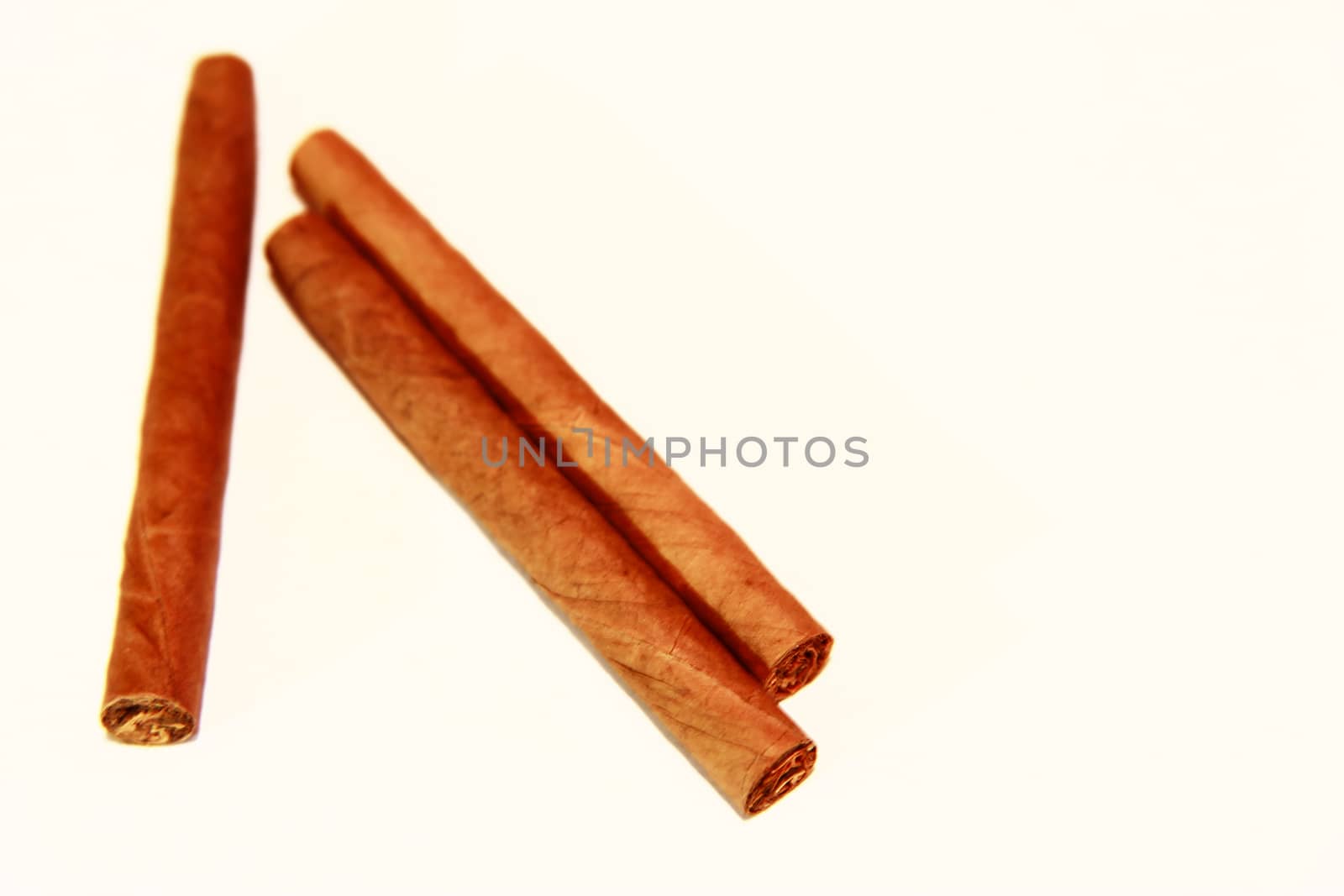 Natural cigarillo isolated on the white background