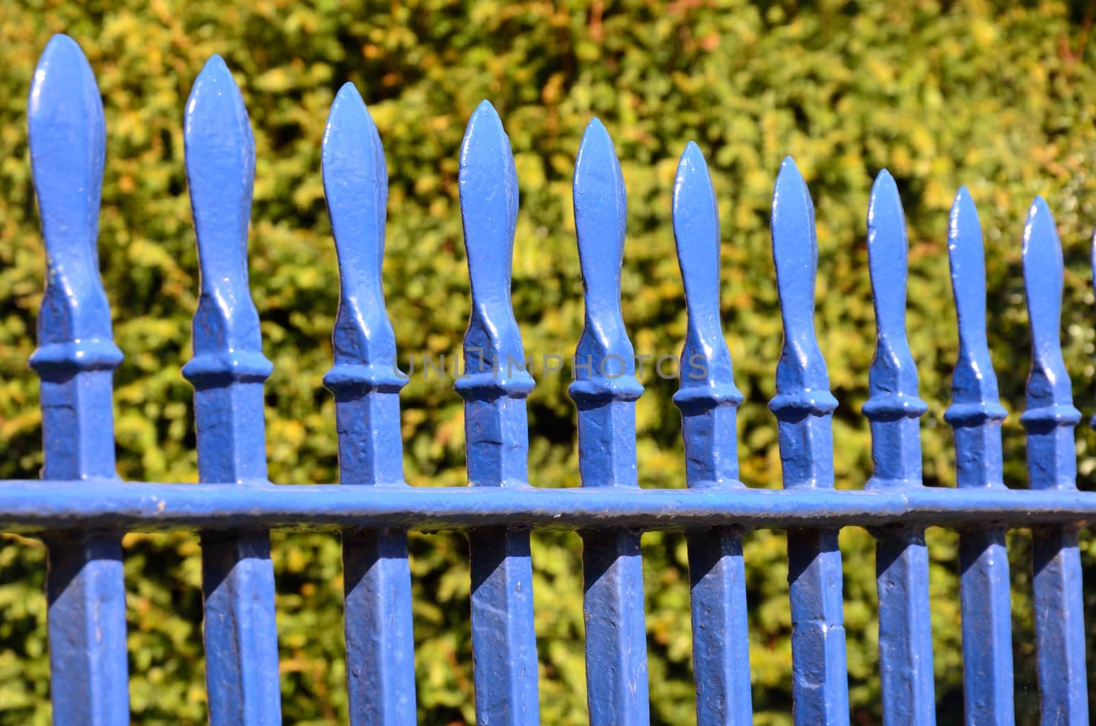 Blue fence in close up by pauws99