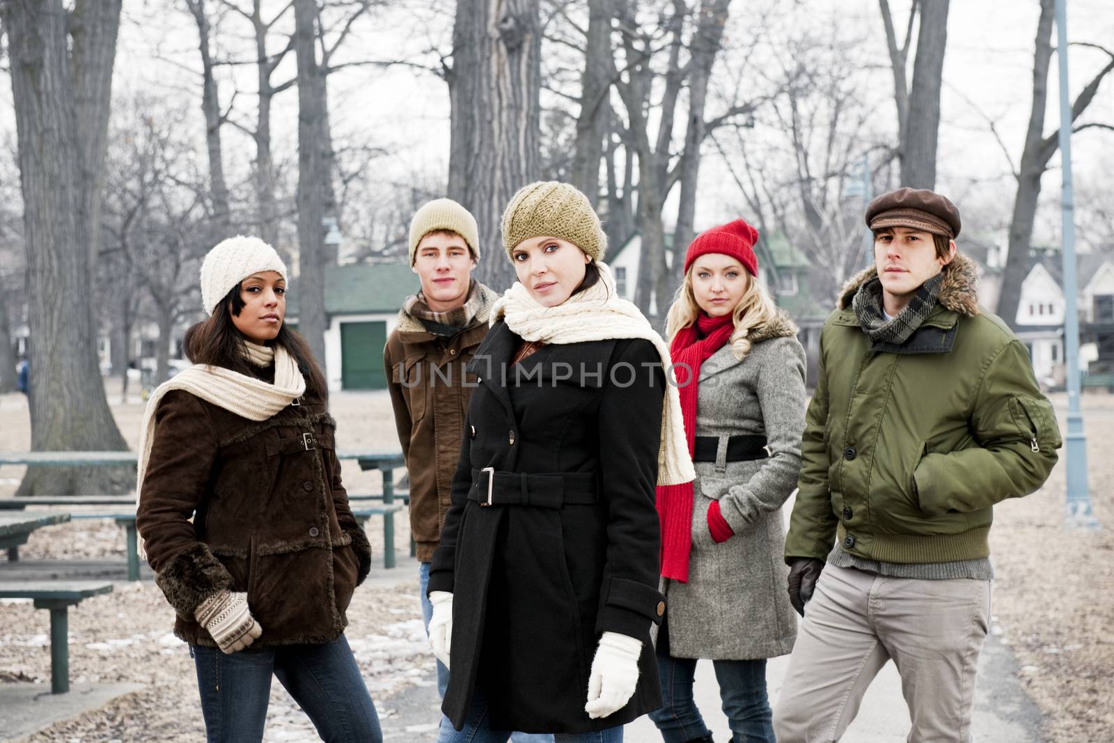 Group of young friends outside in winter by elenathewise