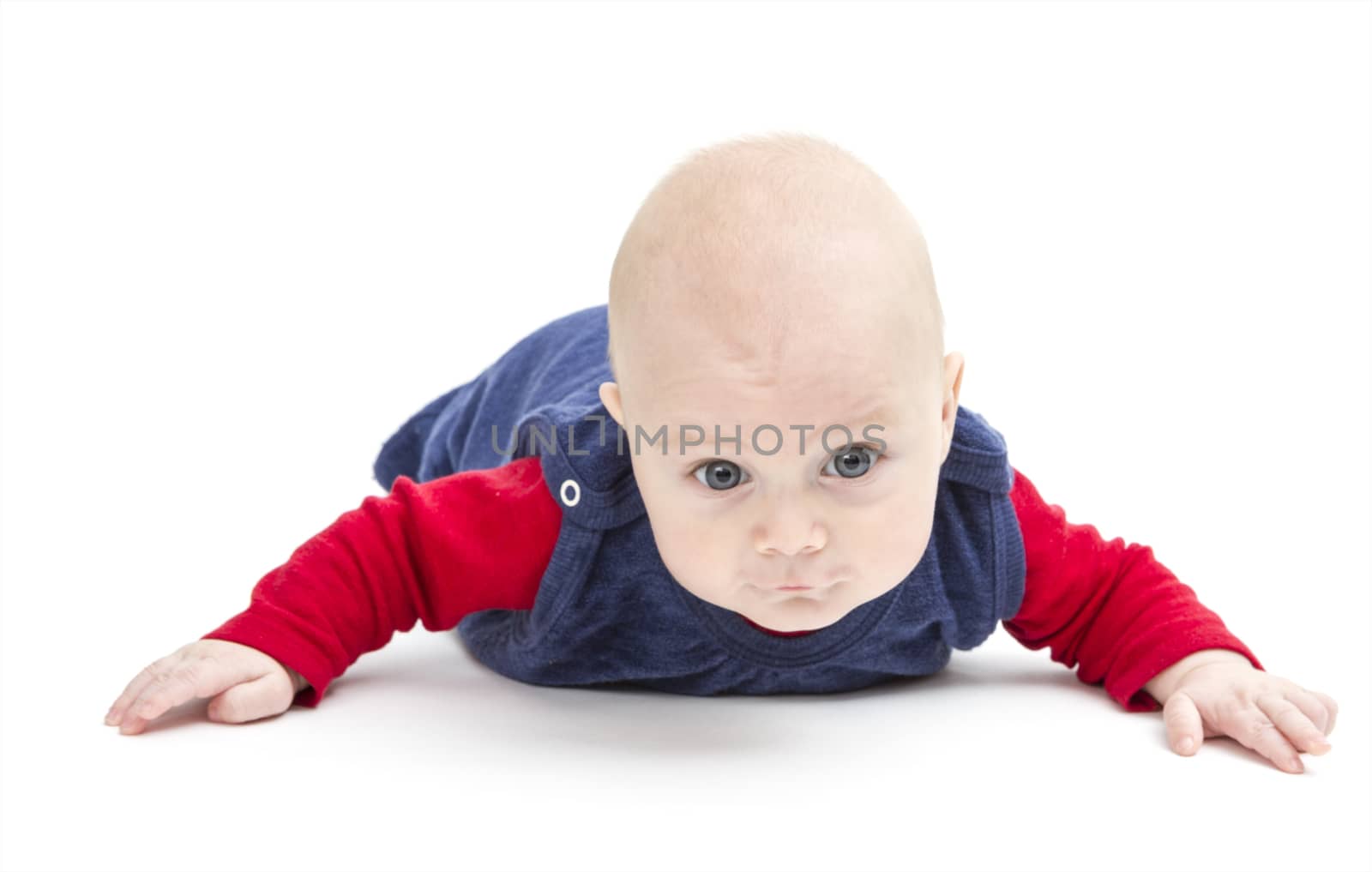 young toddler isolated in white background crawling to camera
