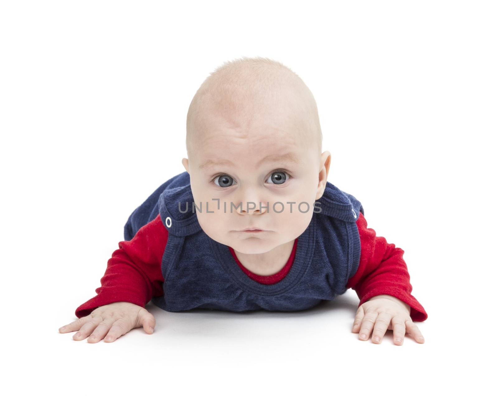 crawling baby looking into camera. isolated on white background