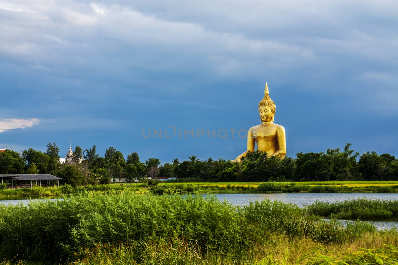wat muang giant buddha in angthong province, thailand